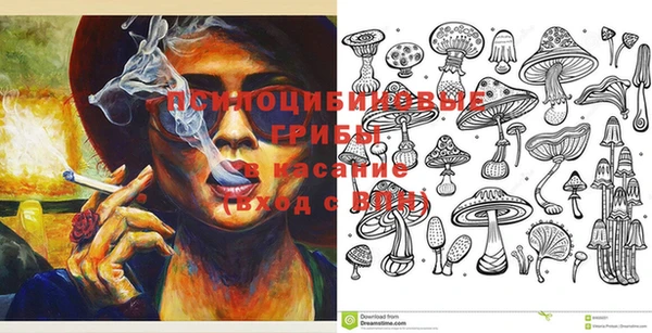 PSILOCYBIN Кинешма