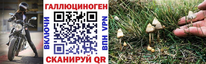 Купить где  Тейково  Галлюциногенные грибы мухоморы 